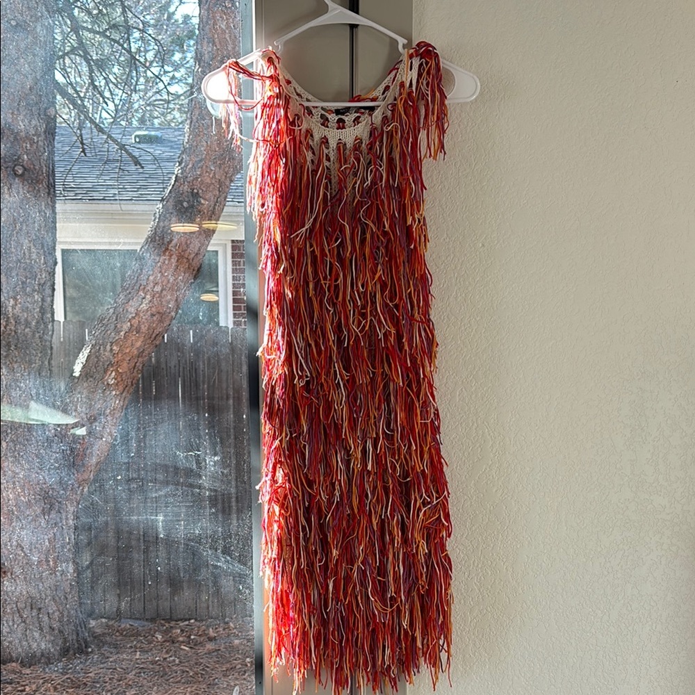 Nasty Gal Colorful Fringe Dress